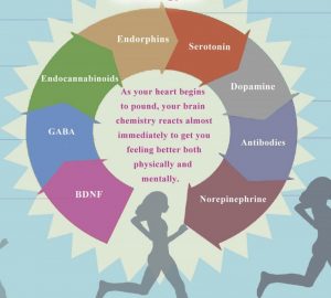 The Neuroscience Of How Exercise Makes You Happy [infographic] - Dr ...