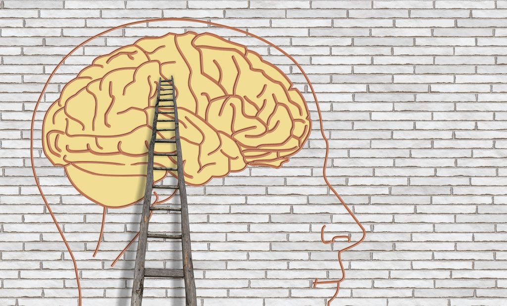 7 principles of neuroscience every coach and therapist should know Dr
