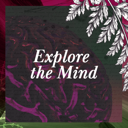 Bootcamp - Icon - Explore the mind